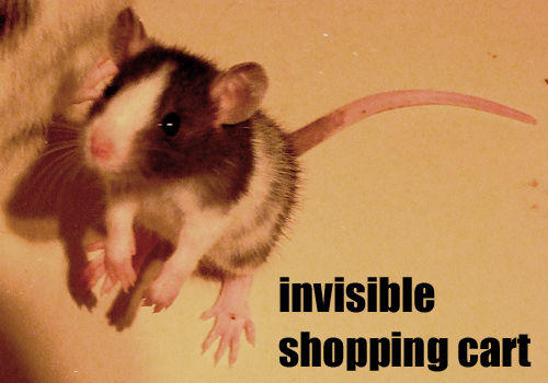 Invisible X