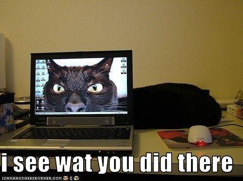 I See What You Did There