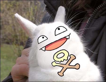 Bunnyfaic