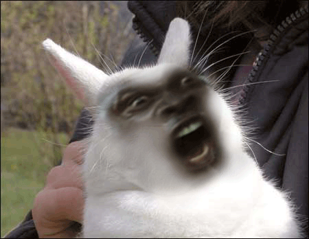 Bunnyfaic