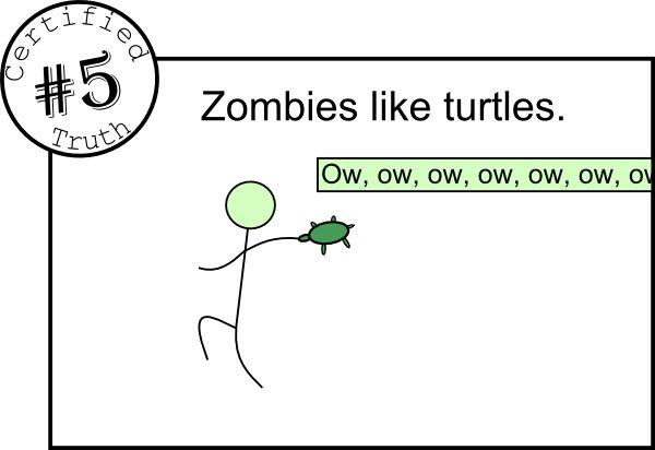 I Like Turtles