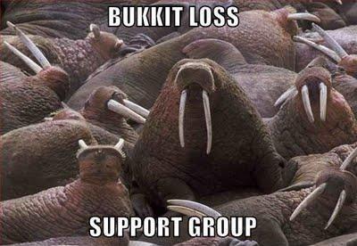 lolrus-funny-pictures-bucket-loss-support-group.jpg