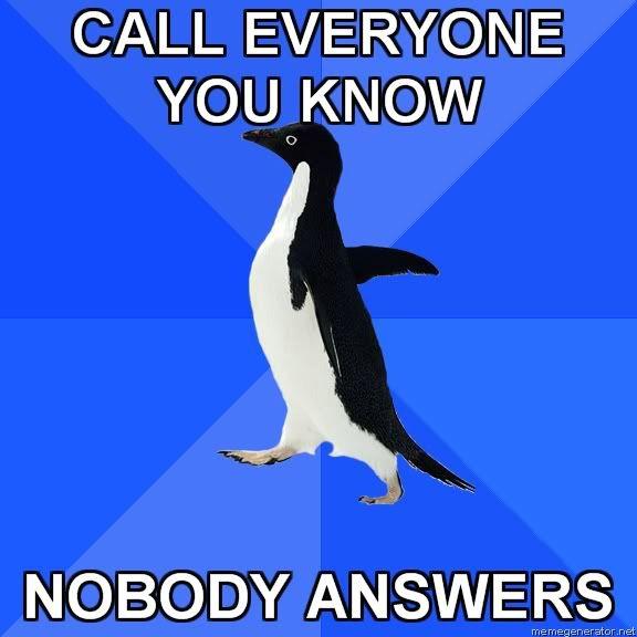 Socially Awkward Penguin