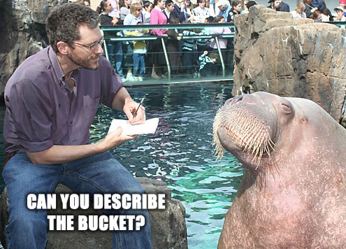 75-describe_bukkit.png