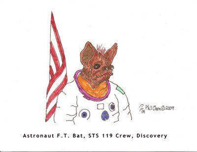 AstroBat0001.jpg