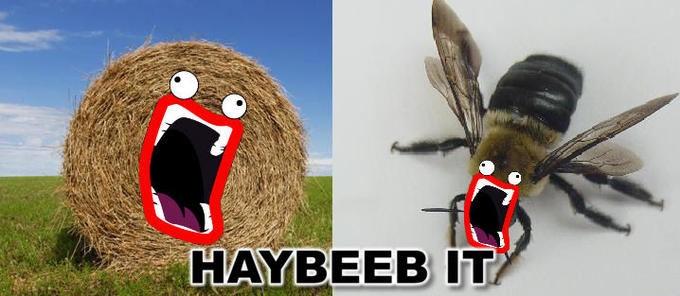 Habeeb It