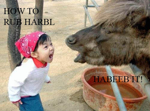 Habeeb It