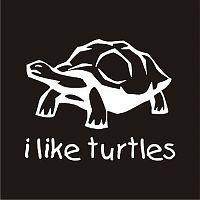 I Like Turtles