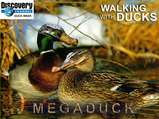 Crocoduck