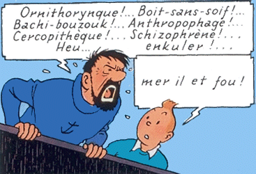 MER IL ET FOU