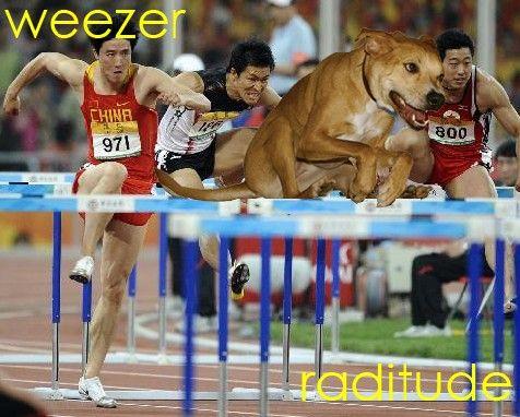 Weezer Raditude Dog 