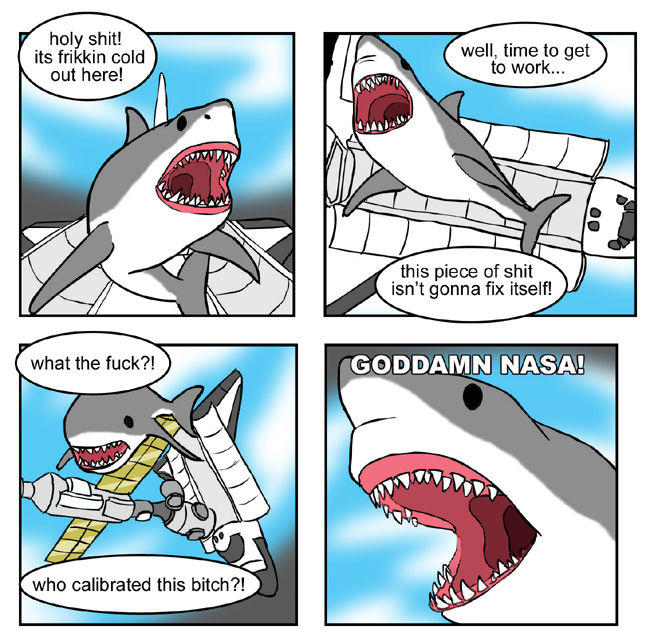 The Singing Shark