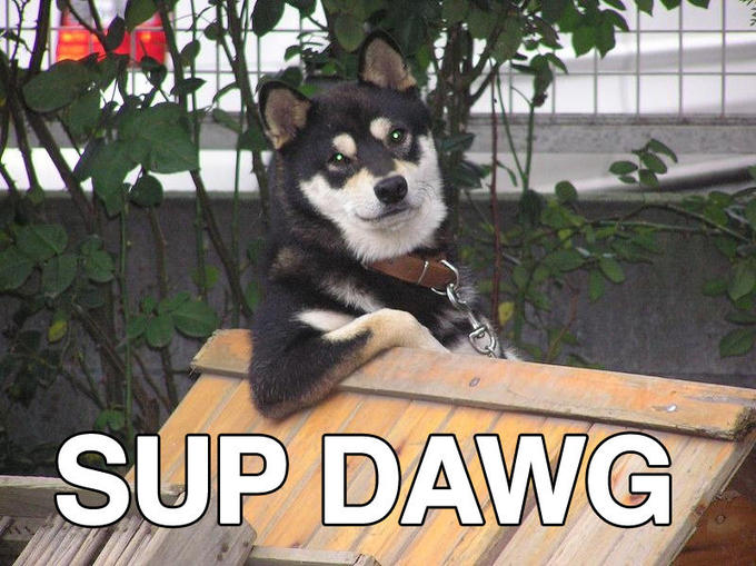 supdawg.jpg