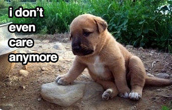 sadpuppy.jpg