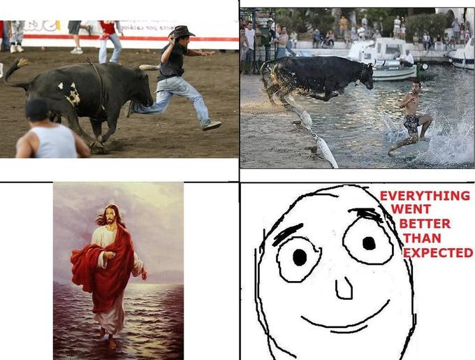Bull-1.jpg