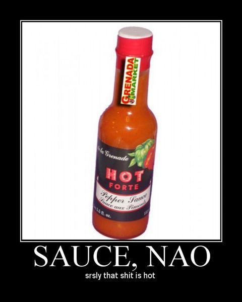 480px-Sauce_nao.jpg