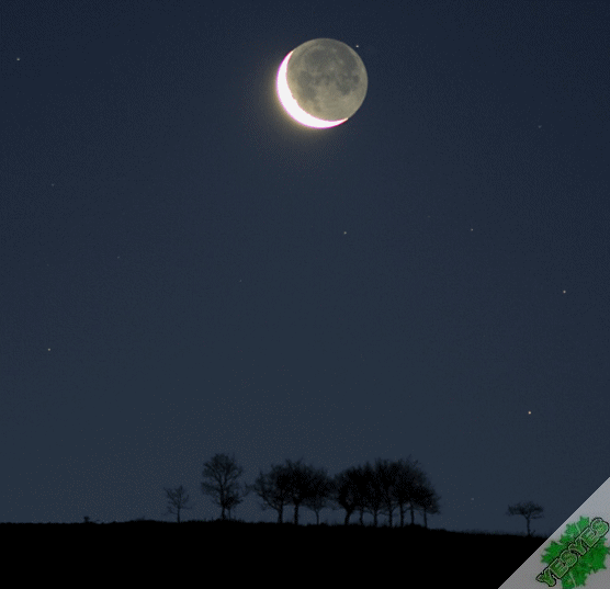 Secret_Isalmic_Night_sky_.gif
