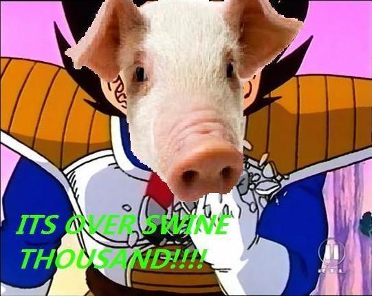 swine_thousand.jpg