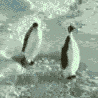6nuo1ird9.gif