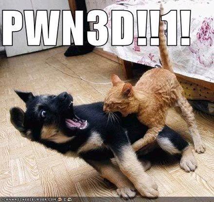 OWNED (PWNED)