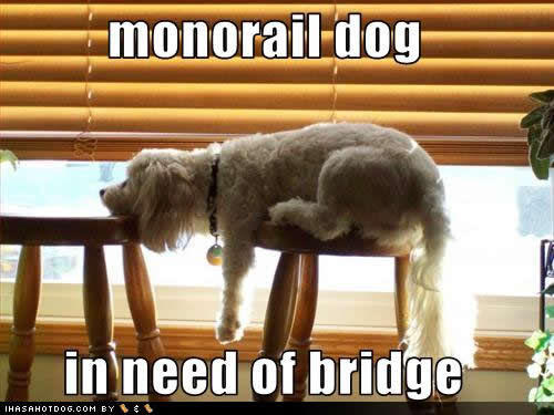 Monorail Cat