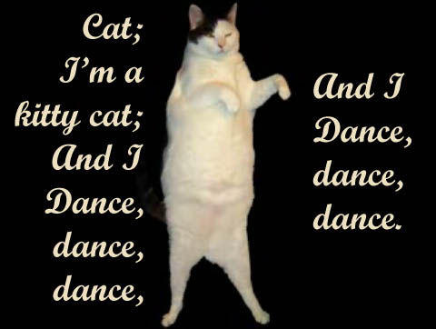KittyCatDance.jpg