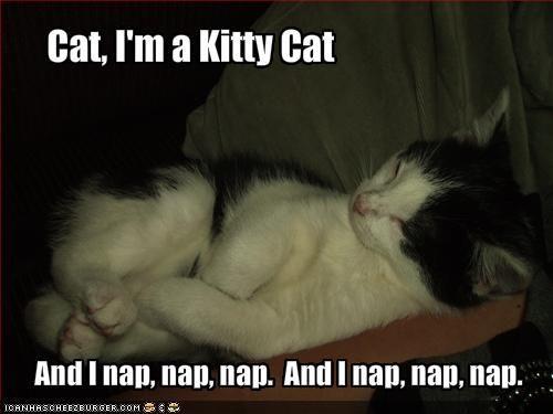 Kitty Cat Dance