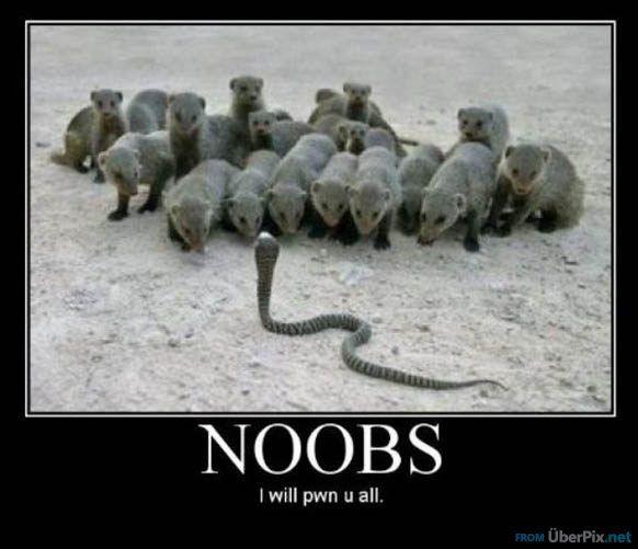 noobs-will-be-pwned.jpg