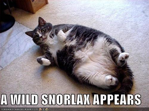 awildsnorlax128618705749692025.jpg