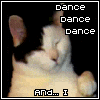 Kitty Cat Dance