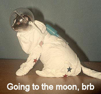 376204534_6631a7bc5f.jpg