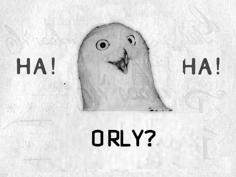 Ha! Ha! Guy