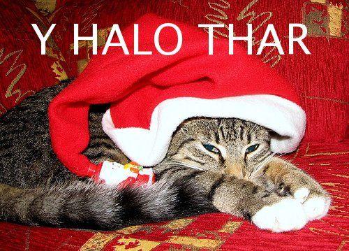 Y helo thar
