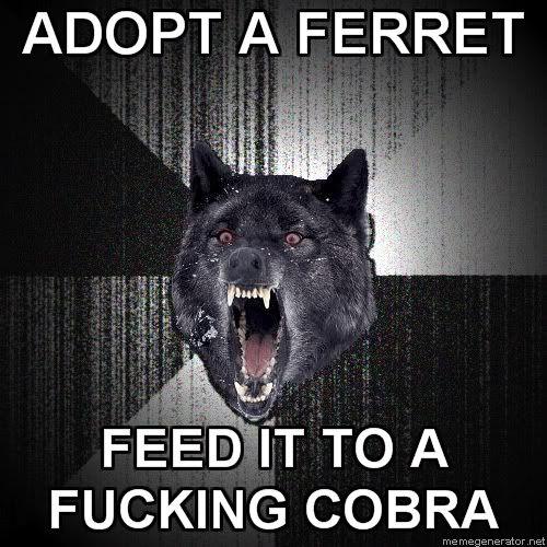 Insanity-Wolf-ADOPT-A-FERRET-FEED-I.jpg