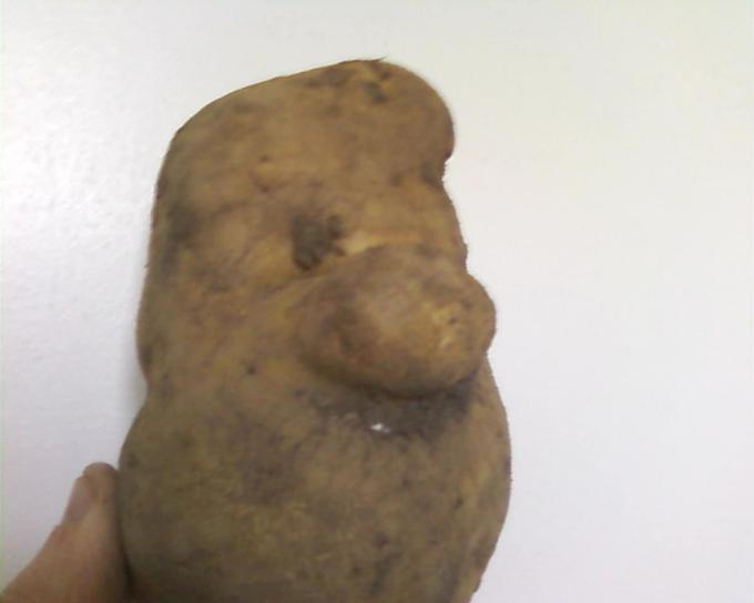 Things With Faces