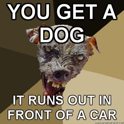 Ugly-Dog-YOU-GET-A-DOG-IT-RUNS-OUT-IN-FRONT-OF-A-CAR.jpg