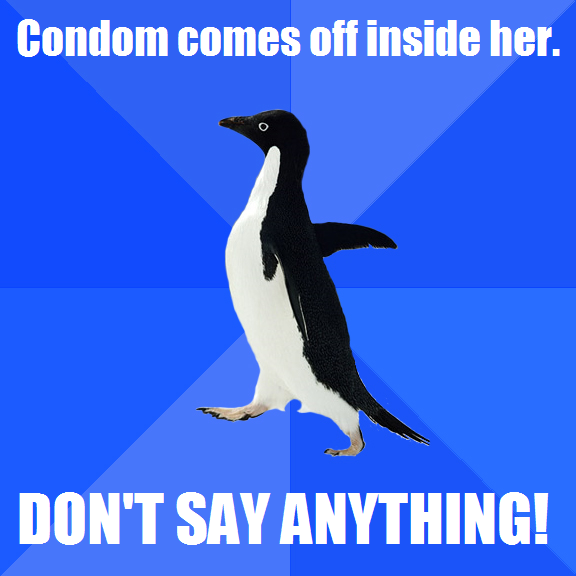 sa_penguin.png