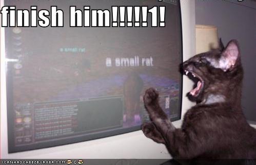 funny-pictures-mmorpg-cat-suggests-you-kill-the-small-rat1.jpg