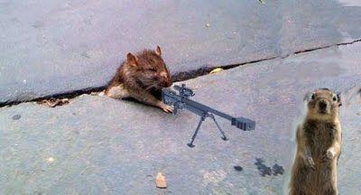 Sad Rat