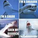 I'm a Shark, SMD.