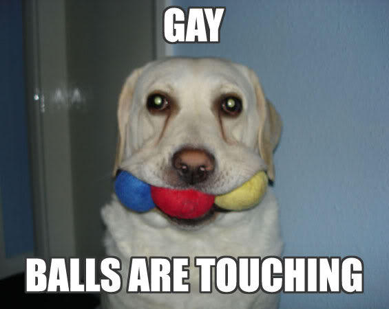 gayballstouching.jpg