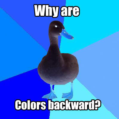 Technologically Impaired Duck