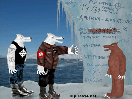 1149198143_23052006-30.gif