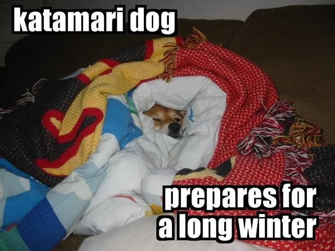 lol_katamariDog.jpg