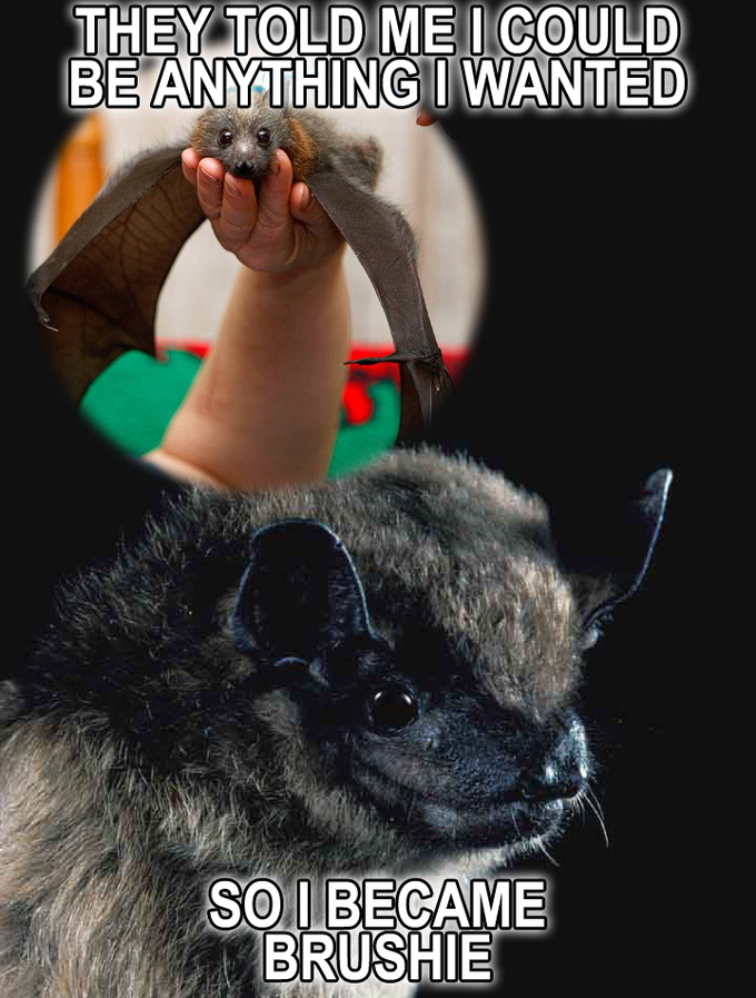 1264200912930.png