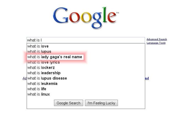 Google Search Box Suggestions 