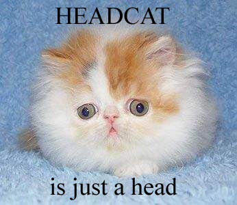 head-cat.jpg