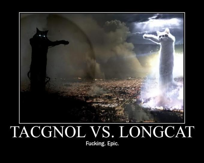 LOLcats