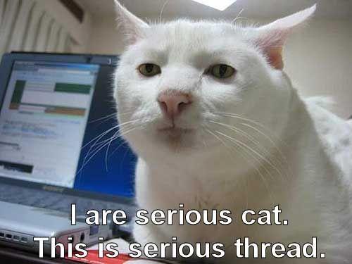 LOLcats