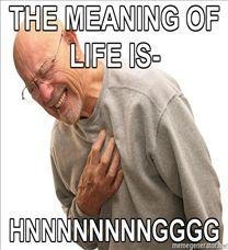208x228_HNNNNNNGGG-THE-MEANING-OF-LIFE-IS--HNNNNNNNNGGGG.jpg